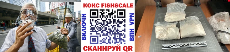 COCAIN Fish Scale  Сочи 