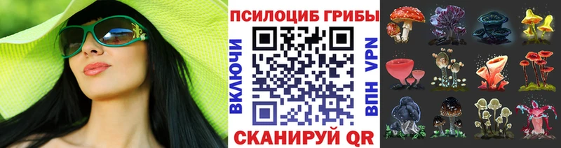 Галлюциногенные грибы Magic Shrooms  цены наркотик  Сочи 